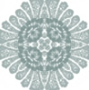 fortesbkgd208
