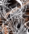 halloweenbackground11