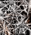 halloweenbackground12
