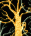 halloweenbackground14