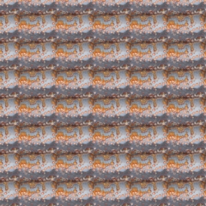 ofnoexistence800text170