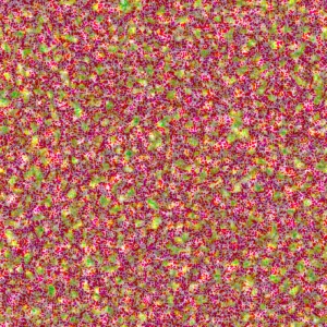 ofnoexistence800text192