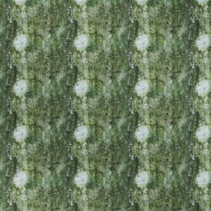 tbciezombienet800-009