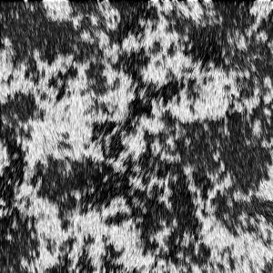 fortetexture115