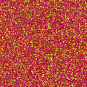 fortetexture330