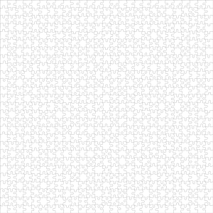 fortetexture417