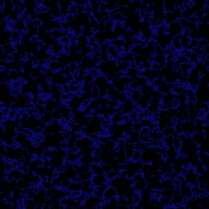 tbc-texture-13