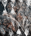 2018asylumtall150x130-566 2018asylumtall150x130-566