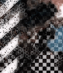 2018asylumtall150x130-576 2018asylumtall150x130-576