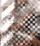 2019asylumtall150x130-082