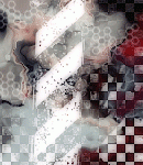2019asylumtall150x130-089