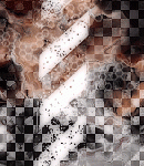 2019asylumtall150x130-094 2019asylumtall150x130-094