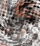 2019asylumtall150x130-112