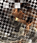 2019asylumtall150x130-119