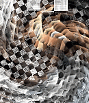 2019asylumtall150x130-121