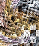 2019asylumtall150x130-131