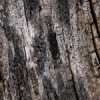 ofnoexistencetexturebg190