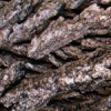 ofnoexistencetexturebg292