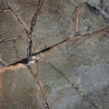 ofnoexistencetexturebg508
