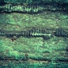 ofnoexistencetexturebg592 ofnoexistencetexturebg592