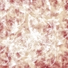 asylumbkgds800x800-050