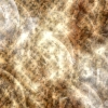 asylumbkgds800x800-105 asylumbkgds800x800-105