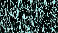 asylumkpt204x116-012 asylumkpt204x116-012