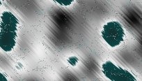 asylumkpt204x116-071 asylumkpt204x116-071