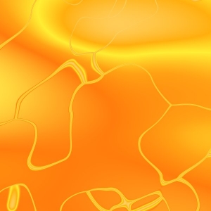 asylumkpt600x600-093 asylumkpt600x600-093