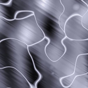 2019asylumkpt800x800-005 2019asylumkpt800x800-005