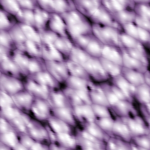 asylumkpt3-800x800-051