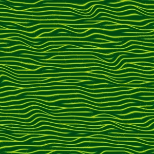 asylumkpt1000x1000-004 asylumkpt1000x1000-004