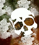 halloweenasylumtallbg-020 halloweenasylumtallbg-020