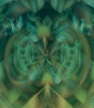 4te244