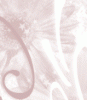bg-forte-16