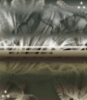 bg-forte-29