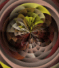 bg-forte-5