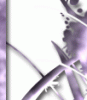 bg-forte-6