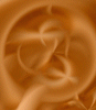ca41