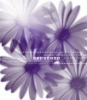 dfgxbg105