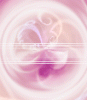 dfgxbg1054