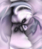 dfgxbg1061 dfgxbg1061