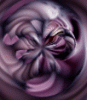 dfgxbg1071