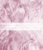 dfgxbg1072