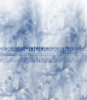 dfgxbg109