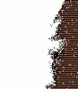 dfgxbg1148