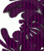 dfgxbg1155