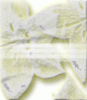 dfgxbg116 dfgxbg116