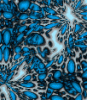 dfgxbg1168