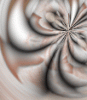 dfgxbg117